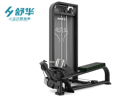 舒華低位劃船訓練器SH-6868