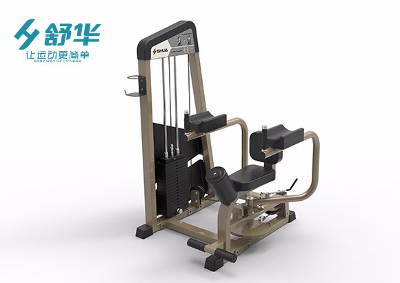 舒華軀干式轉(zhuǎn)體訓練器SH-G5809