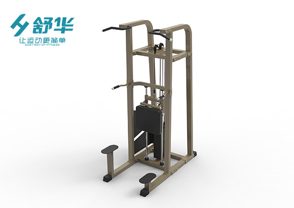 舒華輔助單雙杠訓練器SH-G5817