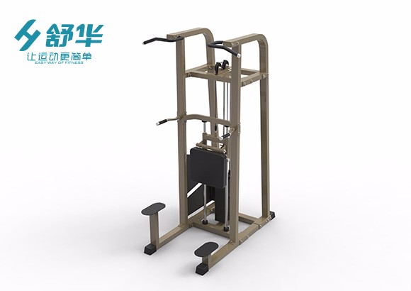 舒華輔助單雙杠訓練器SH-G5817